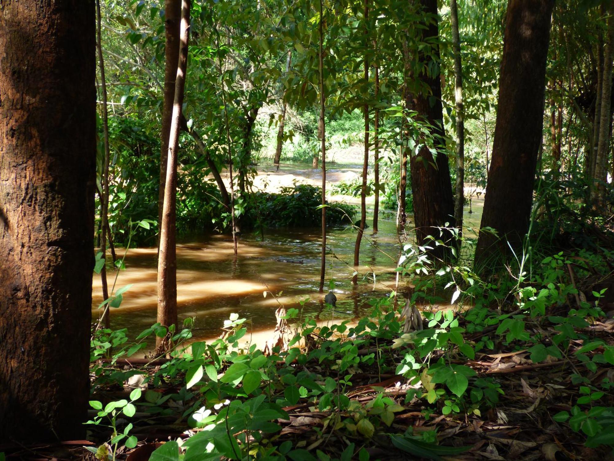 Le Pristine Wellness And Healing Hotel Nyeri Ngoại thất bức ảnh